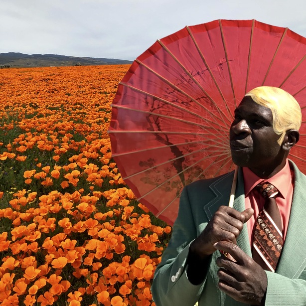 Mr. Poppin in a poppy field